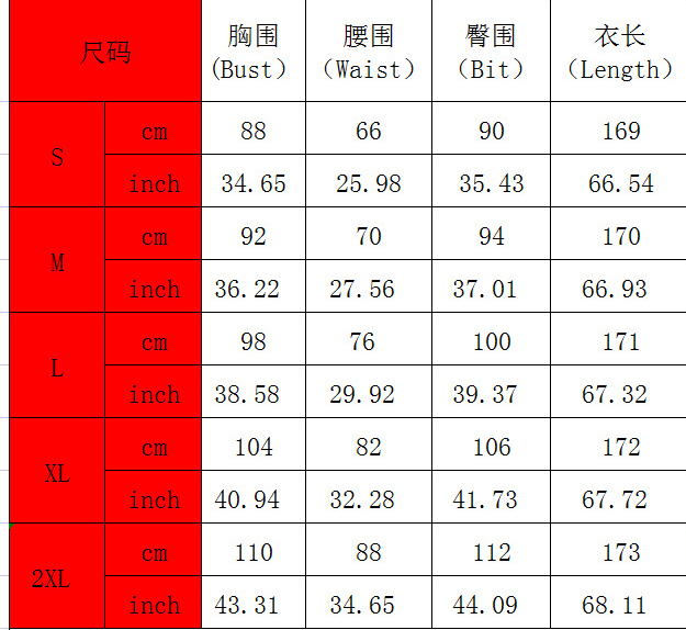 Women Print Pleated Irregular Dress