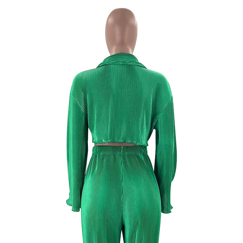 Women Solid Sexy Shirt and Casual Pants Two Piece Set